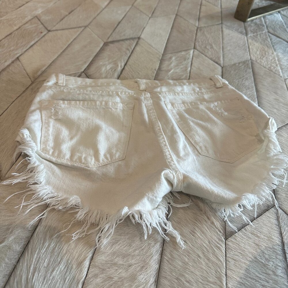 Amuse Society Shorts